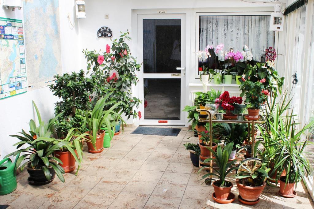 Hotel Pension Kirschstein Wolgast Luaran gambar